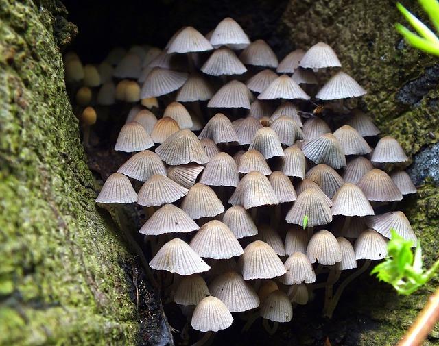 新陳代謝變慢怎麼辦？