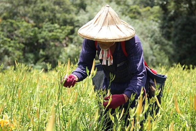 目前台灣fda共通過幾款再生醫療產品？