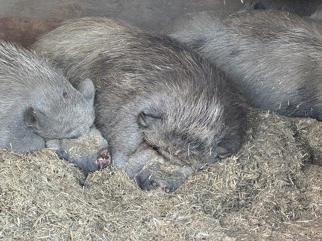 睡眠不好怎麼辦？