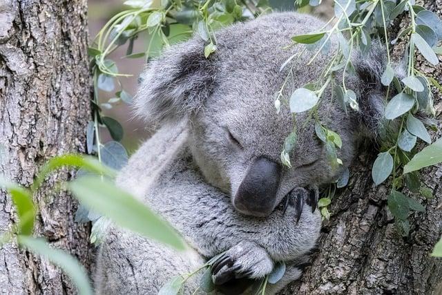 為何會睡眠中斷？