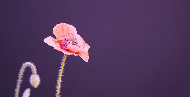 負離子有什麼好處？