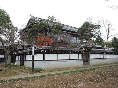 幾歲可以住安養院？