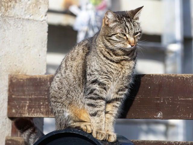 如何發現自己快猝死？