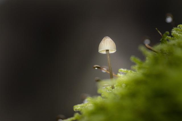 私密處腫起來怎麼辦？