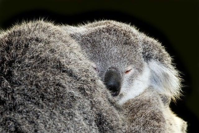 睡眠不規律會怎樣？