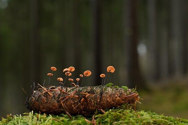 為什麼會頭暈？