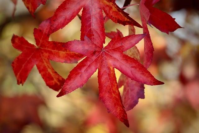 為什麼身上會長紅痣？