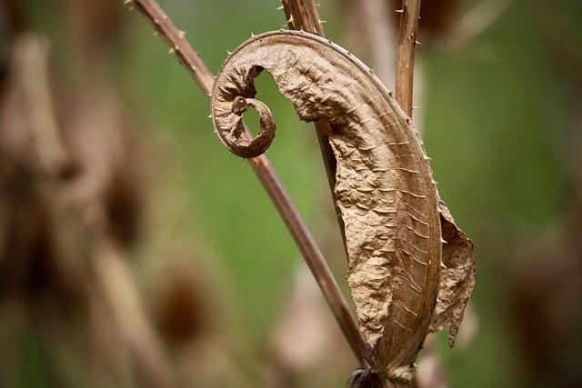 吹風頭痛怎麼緩解？