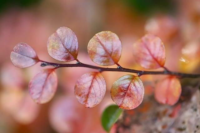 為什麼身上會出現小紅點？