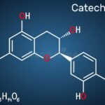 兒茶素如何抗氧化？