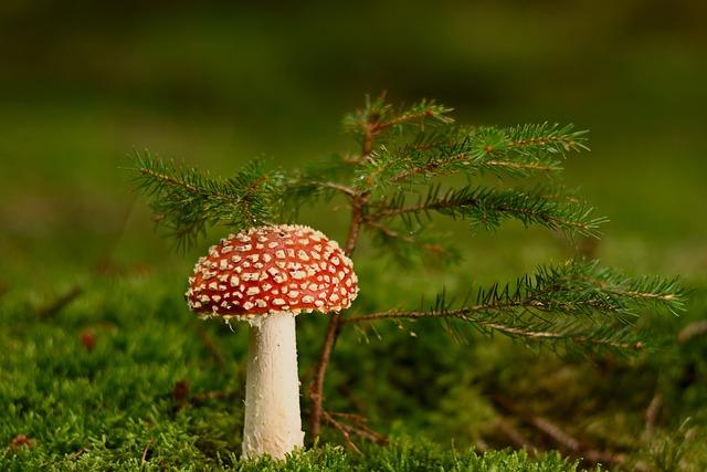 藥物中毒怎麼辦？