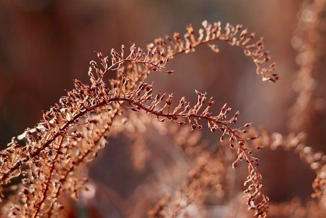 植物過敏怎麼辦？