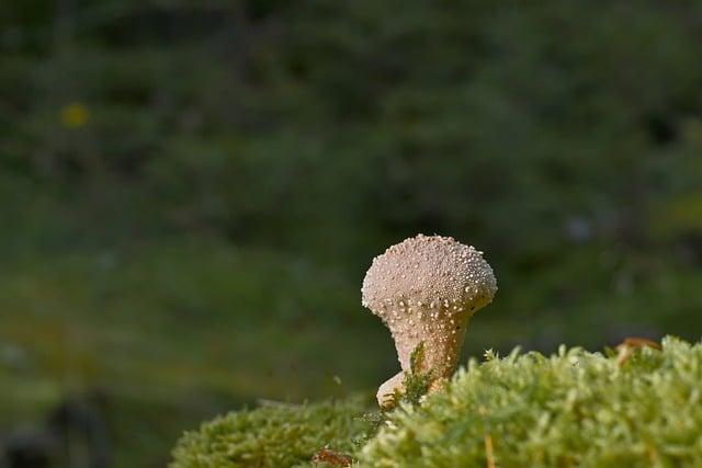 粉塵會致癌嗎？