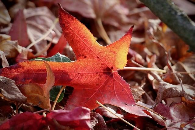 紅血球過多怎麼改善？