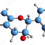 兒茶素可以降膽固醇嗎？