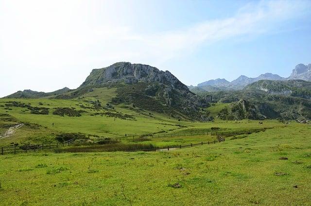 結石手術住院幾天？