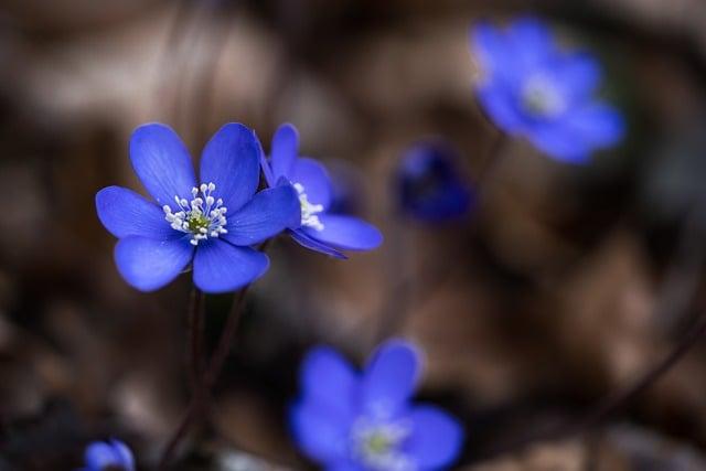 肝癌要花多少錢？