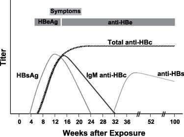 HBsAg 多少算高？