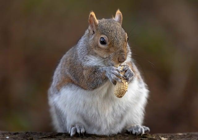 野生動物會得癌症嗎？