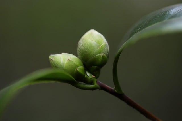 最晚幾歲老花？