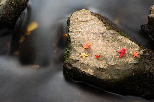 長短腳會遺傳嗎？