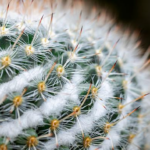 腰椎幾歲退化？