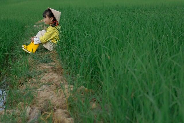 女生尿道炎看哪科？