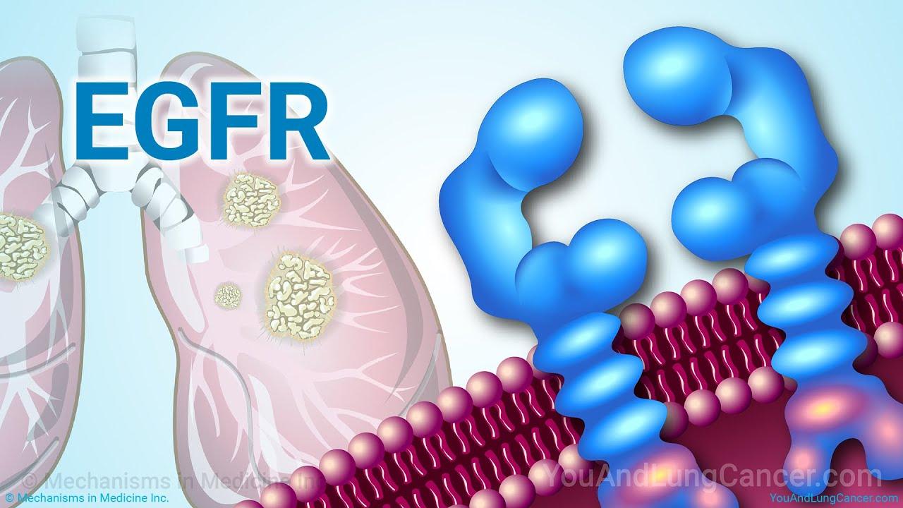 eGFR 90正常嗎？