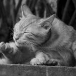 曼秀雷敦可以止癢嗎? 曼秀雷敦可以止癢嗎?