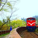 阿里山什麼時候去最漂亮? 阿里山什麼時候去最漂亮?