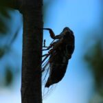 怎樣才算腹瀉? 怎樣才算腹瀉?