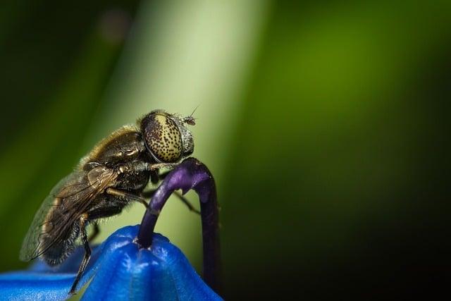 為什麼會拉綠色的屎？
