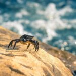 癌症一定會拿到重大傷病卡嗎? 癌症一定會拿到重大傷病卡嗎?