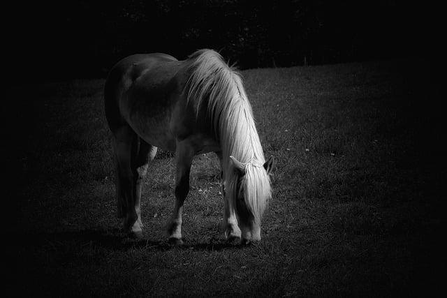 白色分泌物是排卵嗎？