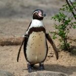 乳癌健保有給付嗎? 乳癌健保有給付嗎?