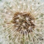 切除卵巢勞保給付多少? 切除卵巢勞保給付多少?