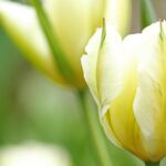 神經內分泌腫瘤能活多久？