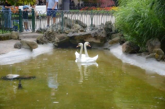 為什麼體重下降？