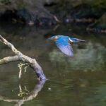 隆乳前要準備什麼？