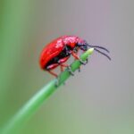 吃什麼會流掉? 吃什麼會流掉?