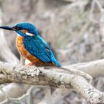 隆乳為什麼不能抽菸? 隆乳為什麼不能抽菸?