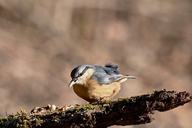 私密處流血怎麼辦？