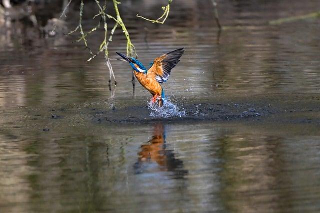 隆乳多久要取出？