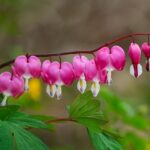 為什麼下面會突然流血？